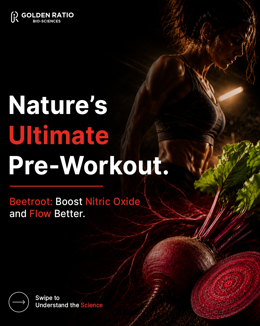 Best Nutraceuticals and Wellness