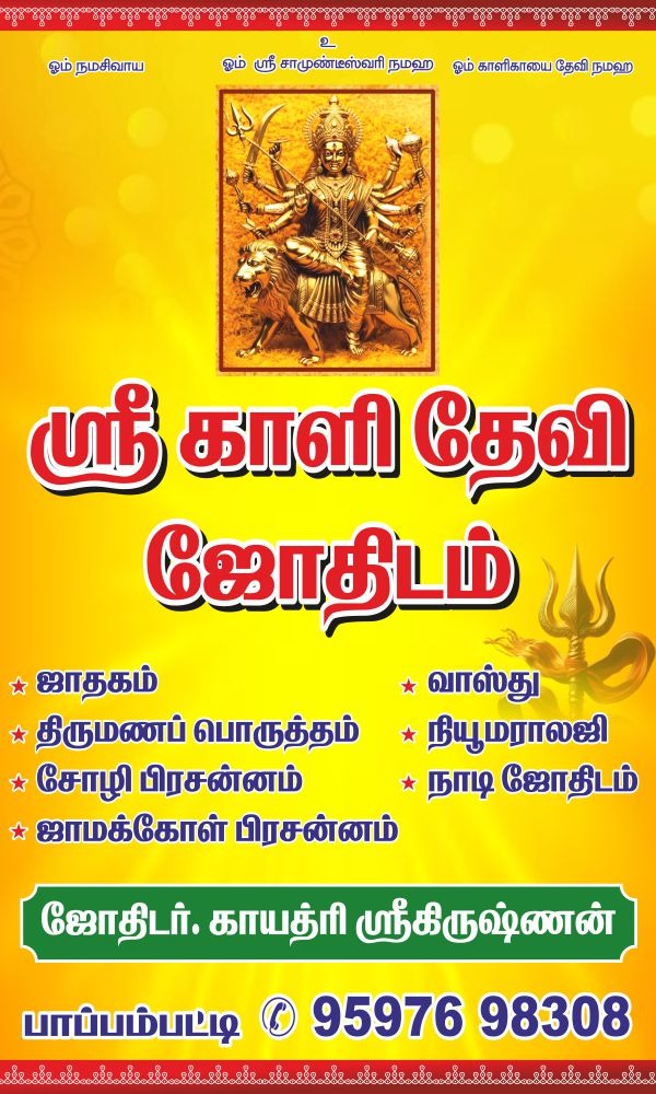 Best Astrologer in Pappampatti